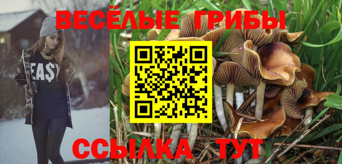 Псилоцибиновые грибы Psilocybine cubensis Дзержинск